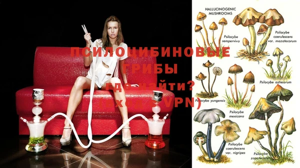 spice Заводоуковск