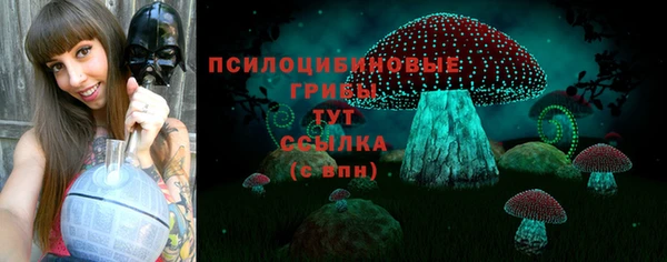 spice Заводоуковск