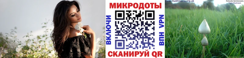 Галлюциногенные грибы Psilocybine cubensis Ирбит